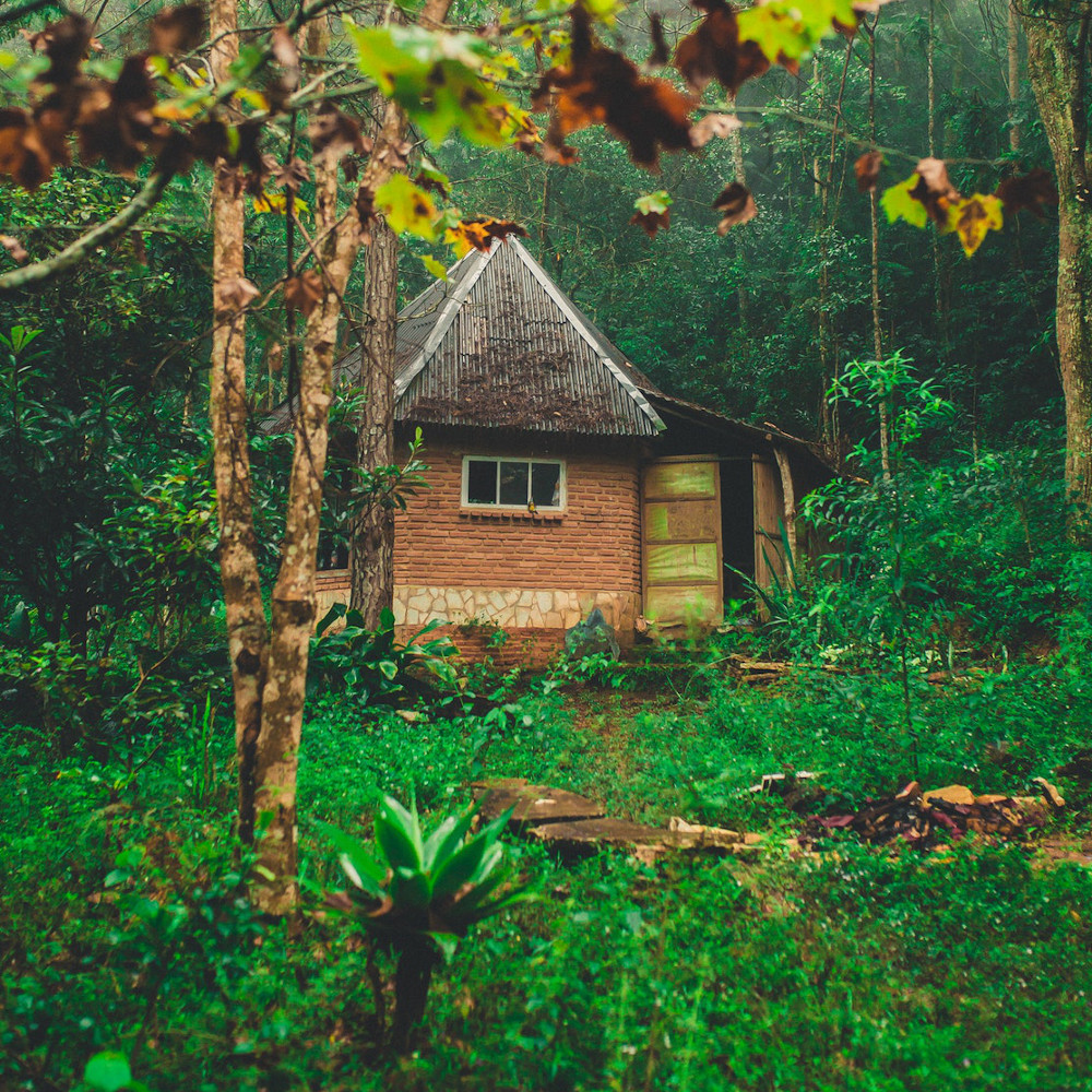 Home+%26+Garden